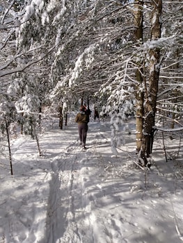 Inn At The River,Wausau>>Schofield,3 star