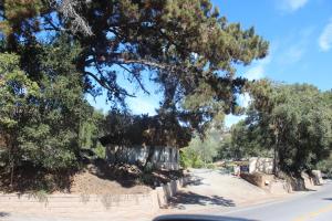 little european lodge