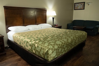 econo lodge near fort gregg adams i 295