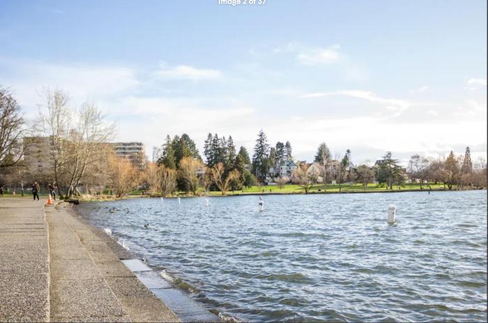 phinneywood hideaway zoo meets lake