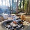 loblolly pines adventure cabin 3 king