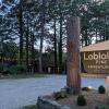 loblolly pines adventure cabin 3 king