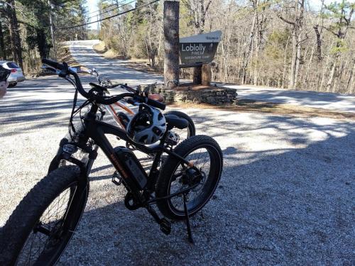 loblolly pines adventure cabin 3 king