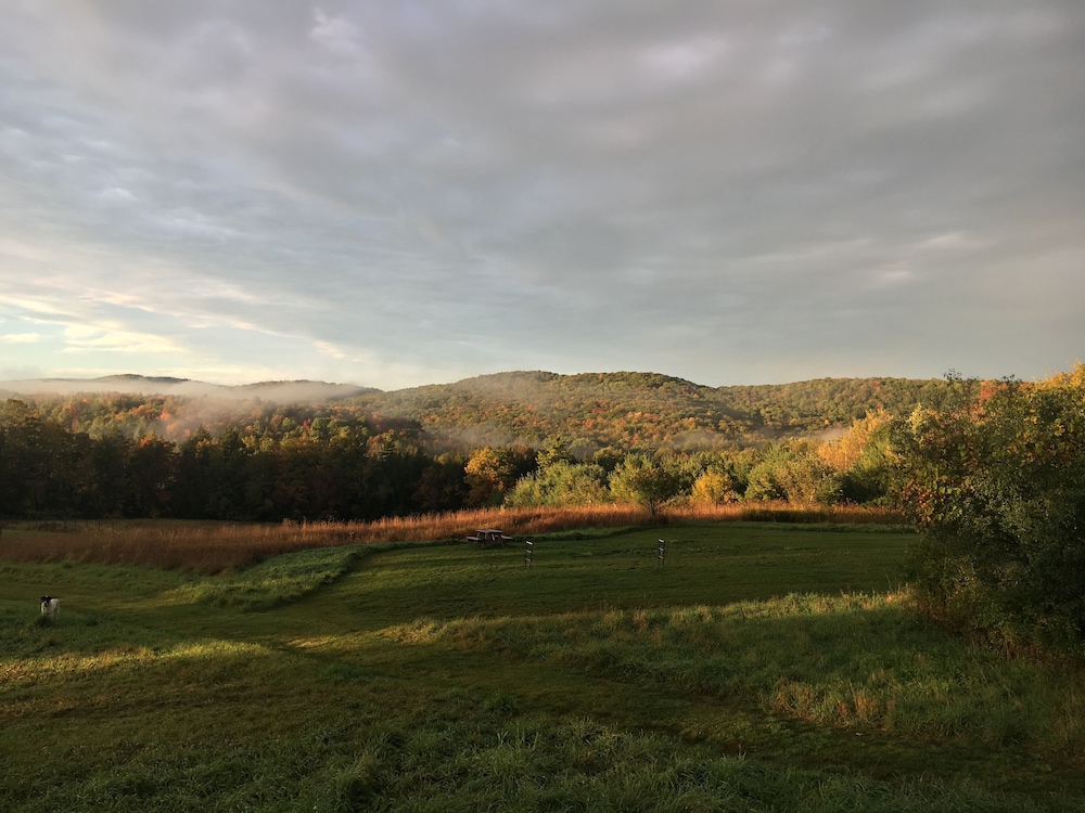 fat sheep farm and cabins