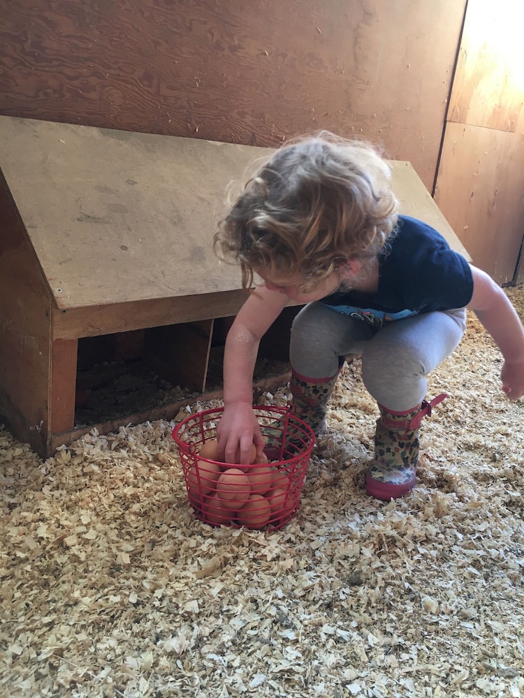 fat sheep farm and cabins