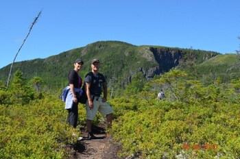 indian falls chalets