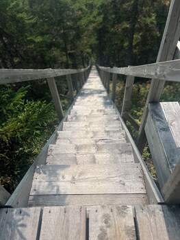 indian falls chalets