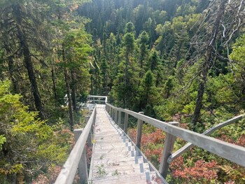 indian falls chalets