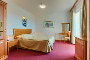 hotel villa dvor