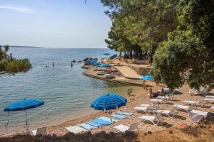 family resort hotel manora