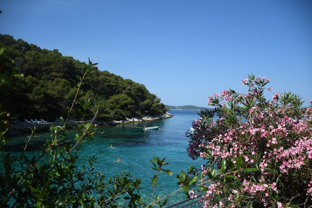 hvar