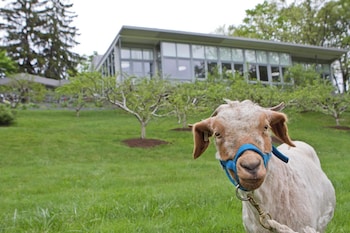 buttermilk falls inn