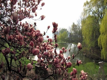 buttermilk falls inn