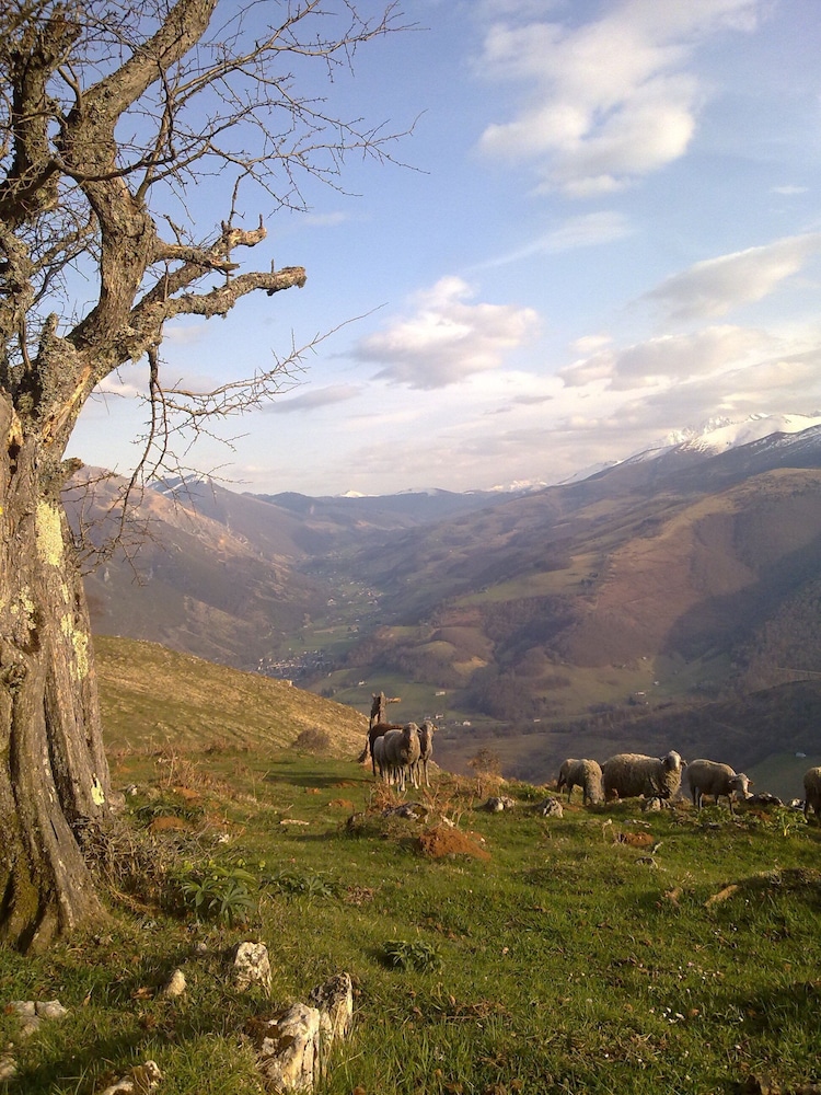 vie destive