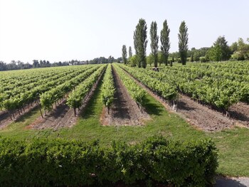 Le Logis Des Bessons,35 Route Des Bessons,3 star