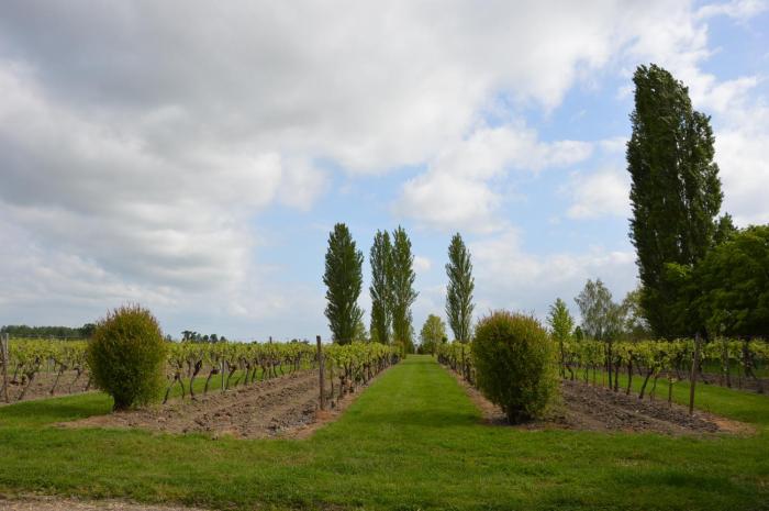 le logis des bessons