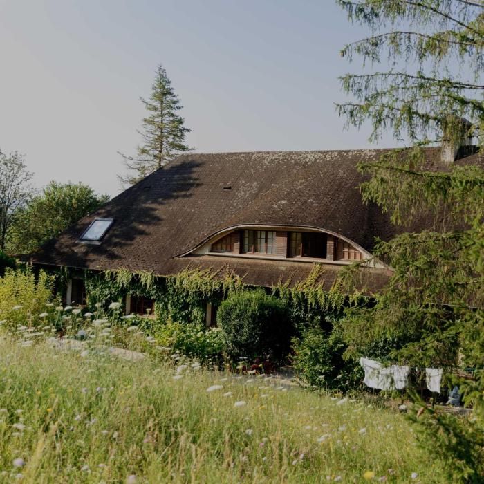 domaine des grandes vignes
