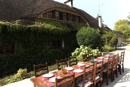 domaine des grandes vignes