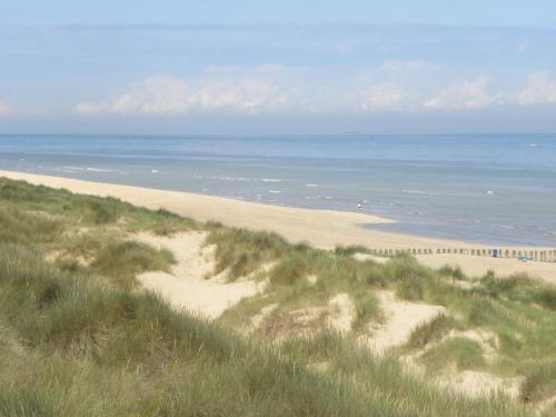 domitys le fil de soie