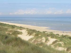 domitys le fil de soie