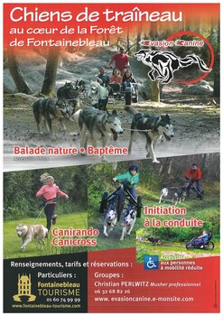 kabaneo gite et sauna samois sur seine foret de fontainebleau