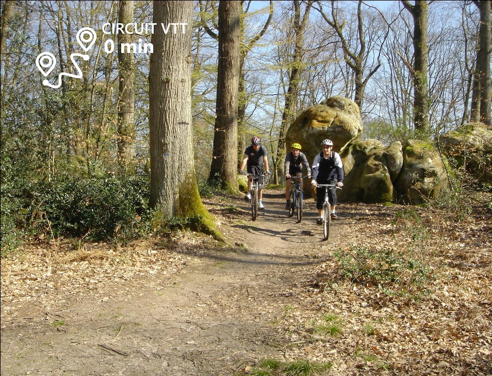 kabaneo gite et sauna samois sur seine foret de fontainebleau