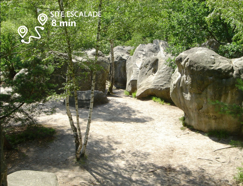 kabaneo gite et sauna samois sur seine foret de fontainebleau