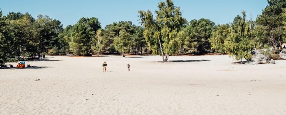 kabaneo gite et sauna samois sur seine foret de fontainebleau