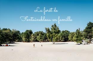 kabaneo gite et sauna samois sur seine foret de fontainebleau