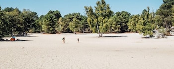 kabaneo gite et sauna samois sur seine foret de fontainebleau