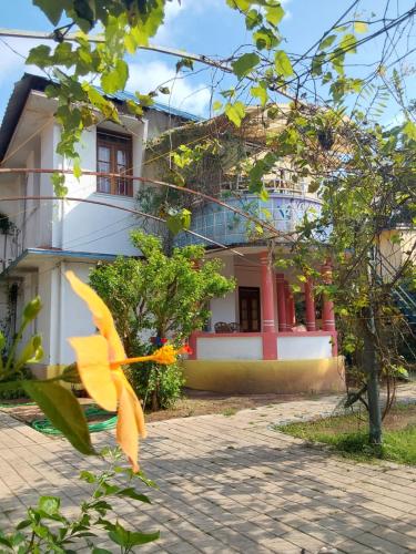 johnsons homestay ecohouseboat
