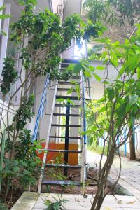 johnsons homestay ecohouseboat