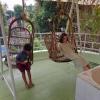 johnsons homestay ecohouseboat