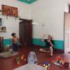 johnsons homestay ecohouseboat