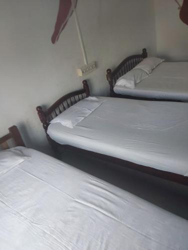johnsons homestay ecohouseboat