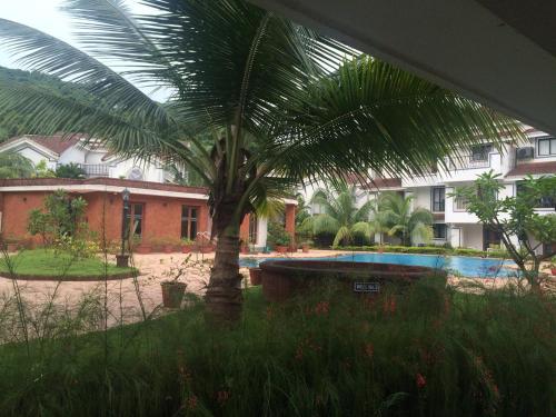 pool facing apartment in riviera foothills near baga arpoara