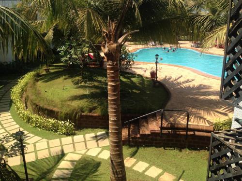 pool facing apartment in riviera foothills near baga arpoara