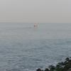 cochin
