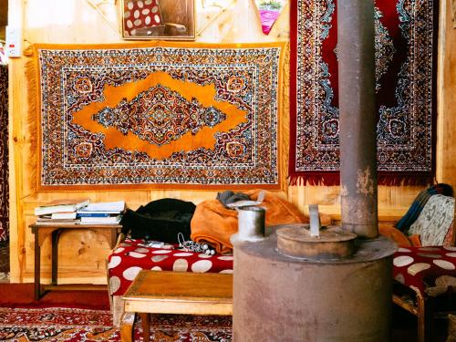 veena palace group of houseboats