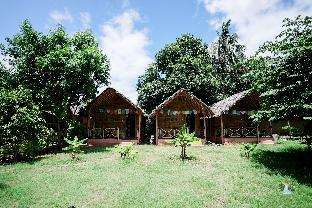waterfall guesthouse
