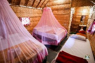 waterfall guesthouse
