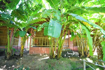 waterfall guesthouse