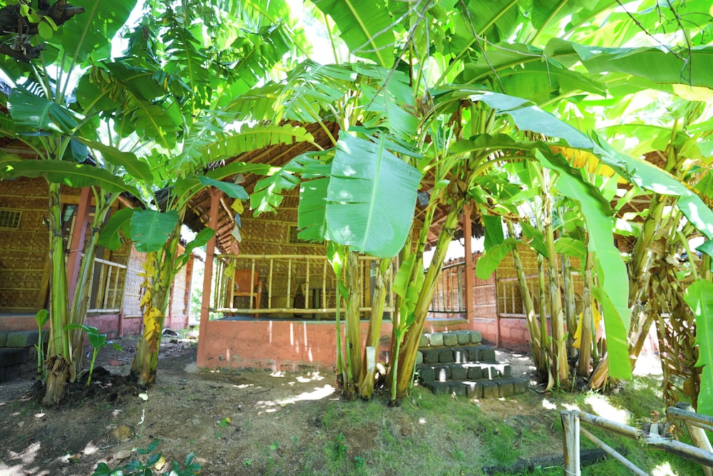 waterfall guesthouse