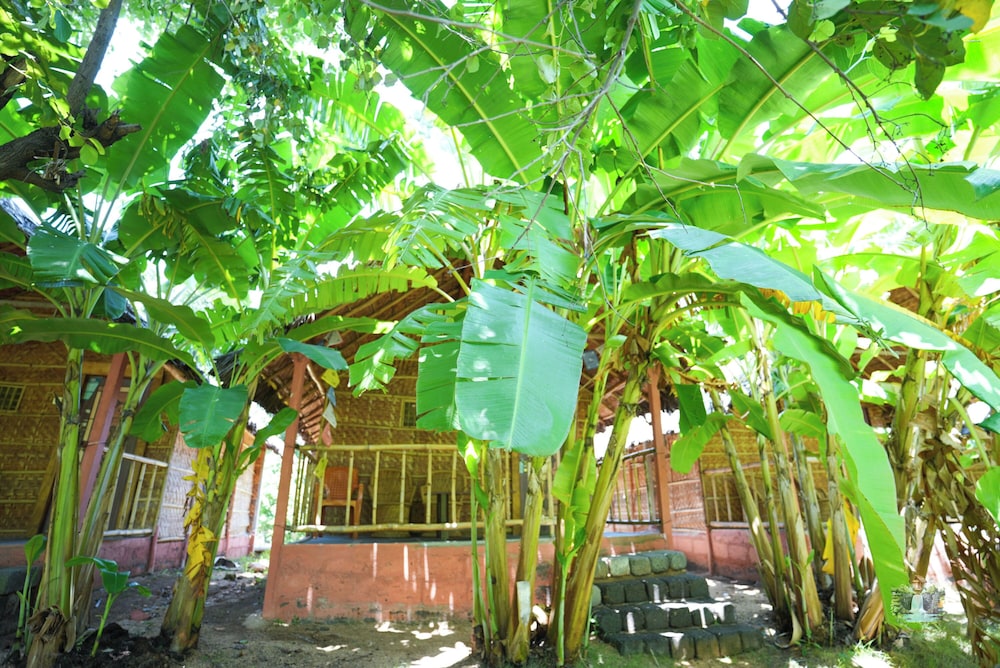 waterfall guesthouse