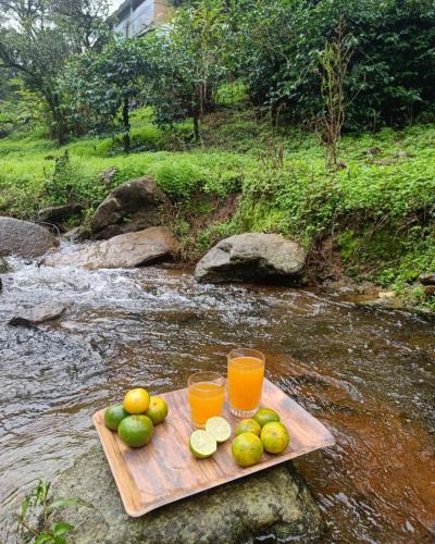 valparai