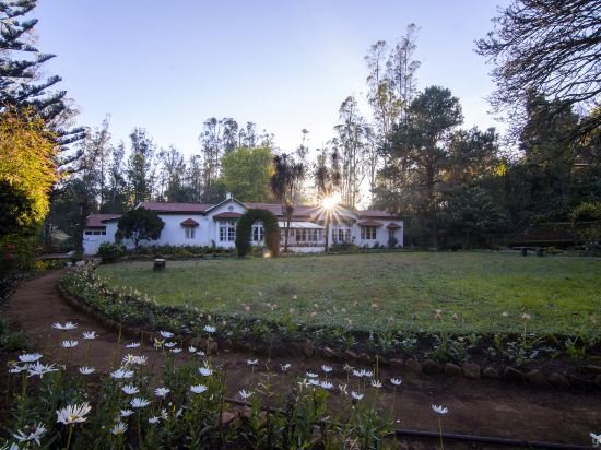 ooty