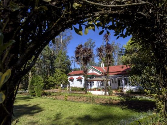 ooty