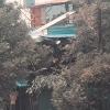 amruta homestays