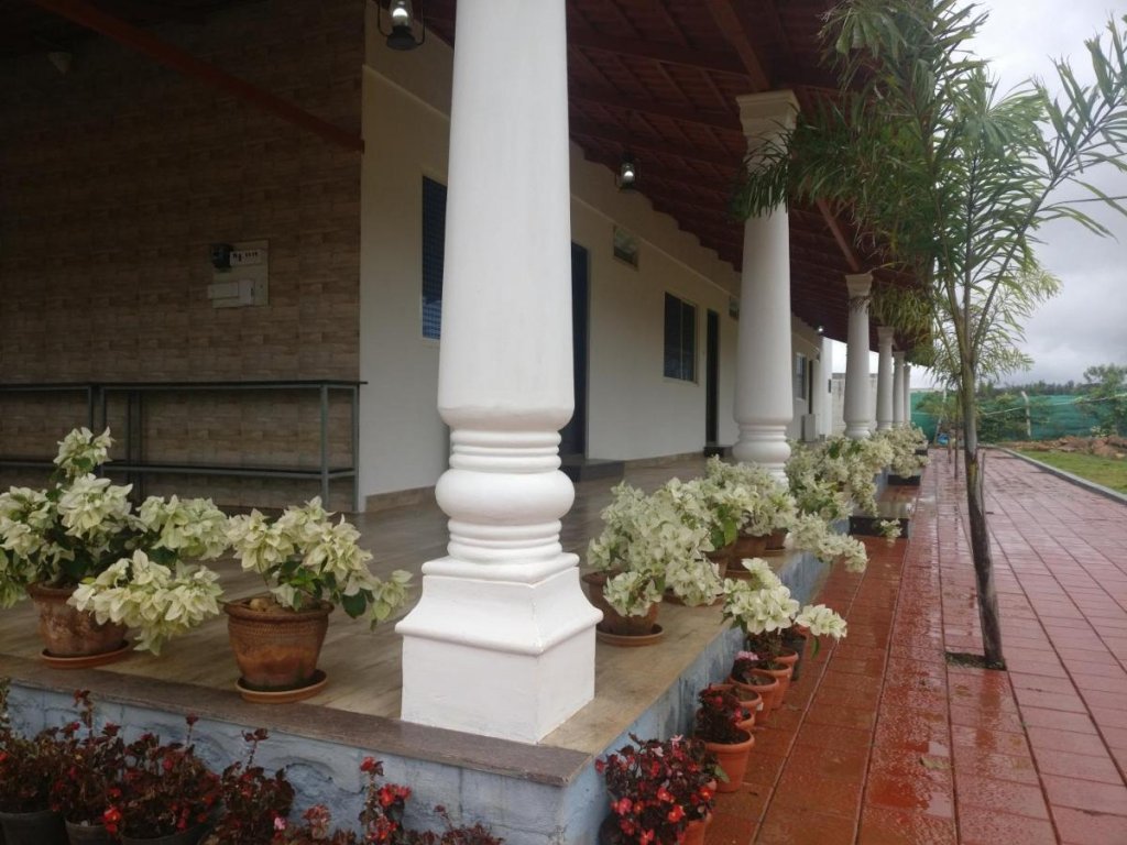 bougain villea homestay