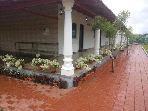 bougain villea homestay